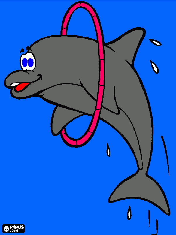 pinta dofí aro