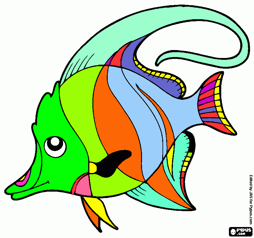 pinta peixet tropical de colors