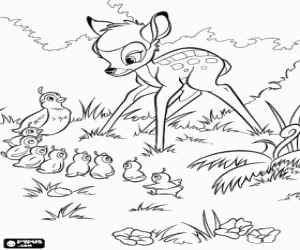 Pintar Bambi observant el pas d'una guatlla americana amb les seves cries