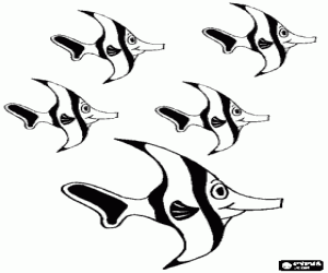 Pintar Banc de peixos a prop dels esculls de coral