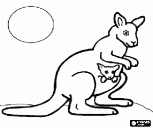 Pintar Cangur amb una cria a la bossa marsupial