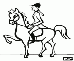 Pintar Cavall i genet executant un exercici de doma cl�ssica o d'ensinistrament