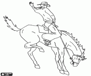 Pintar Cowboy muntant un cavall encabritat a una volta