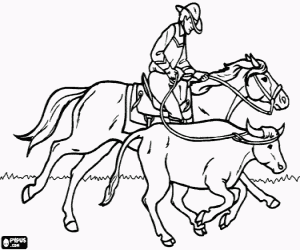 Pintar Cowboy o vaquer cavalcant un cavall i atrapant un bou amb el lla�