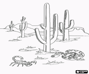 Pintar Desert de Sonora amb els famosos cactus saguaro, un escorp� i una serp