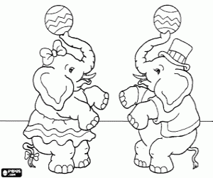 Pintar Dos elefants del circ fent malabarismes amb la trompa i una pilota