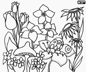 Pintar Flors primaverals variades, una d'elles amb una eruga, i un bolet