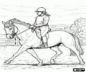 Pintar Geneta en un espectacle eq�estre