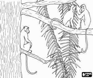 Pintar Grup de micos de llargues cues sobre les branques d'un arbre