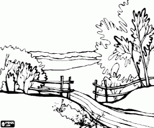 Pintar Paisatge amb arbres, un cam� i una tanca de fusta