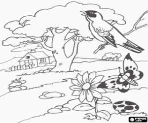Pintar Paisatge primaveral amb una caseta, un arbre, un ocell cantant, una papallona i una flor