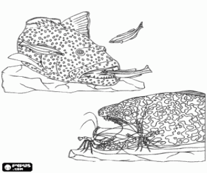 Pintar Peixos grans menjant peixos m�s petits i altres animals marins, part de la cadena d'aliment