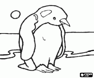 Pintar Pingu� sobre la neu a l'Ant�rtida