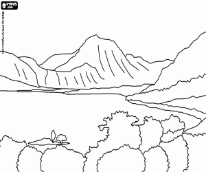 Pintar Un llac amb vegetaci�