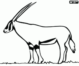 Pintar Una gasela de Grant amb les seves llargues banyes a la sabana africana
