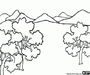 Pintar Vista des de dalt amb arbres en primer terme i muntanyes al fons