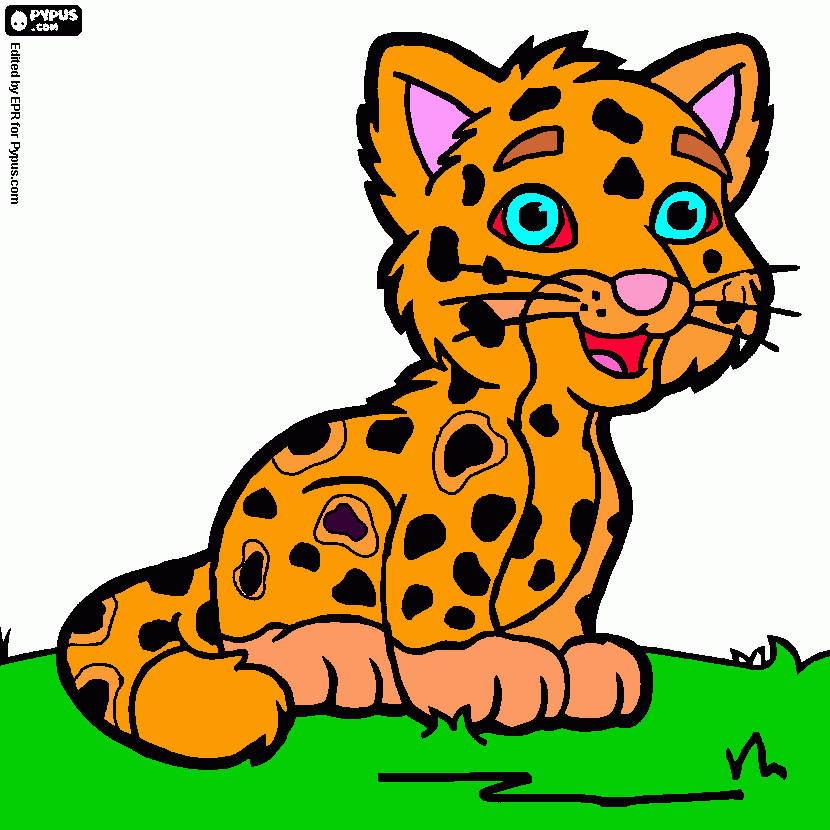 pinta adell de lleopard