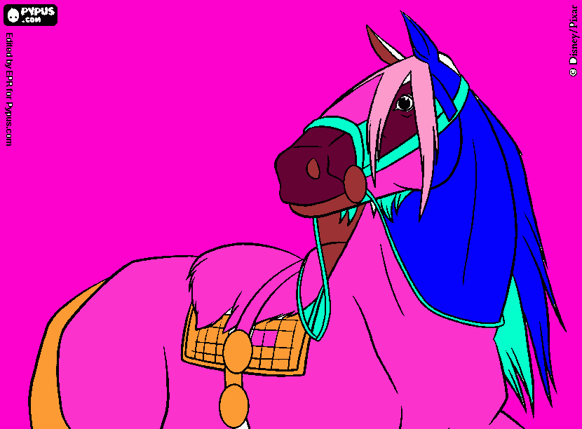 pinta angus