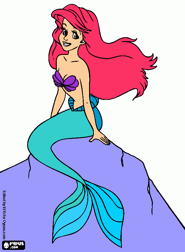 pinta ariel