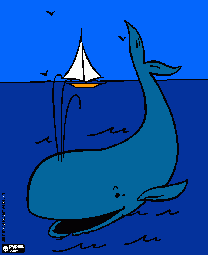 pinta BALENA BLAVA