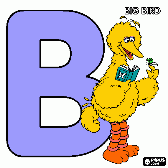 pinta big bird