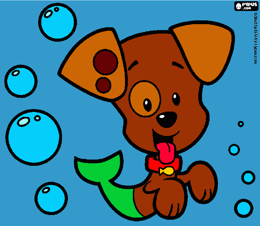 pinta Bubble Puppy