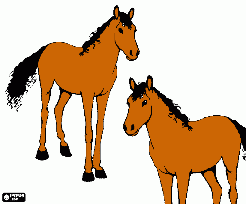 pinta caballos