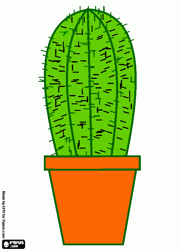 pinta Cactus