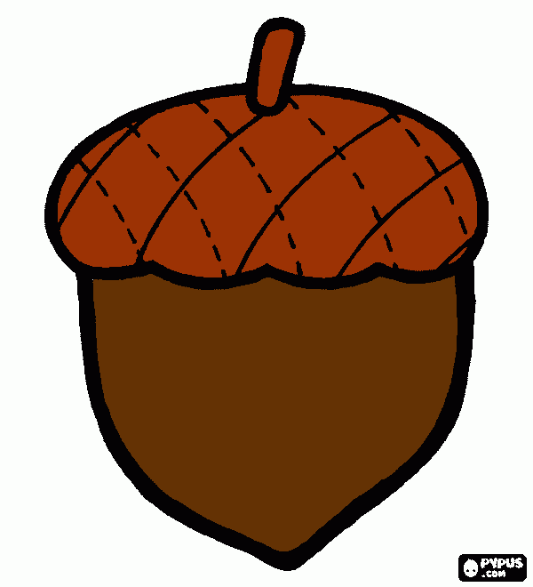 pinta castanya