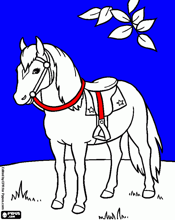 pinta cavall bonic