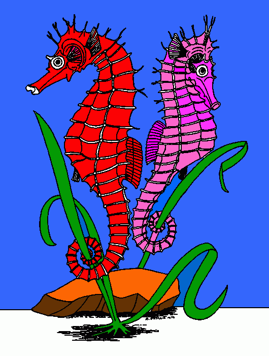 pinta cavallets de mar