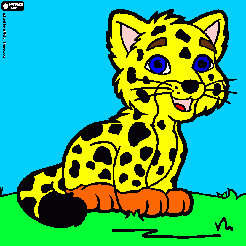 pinta CHEETAH