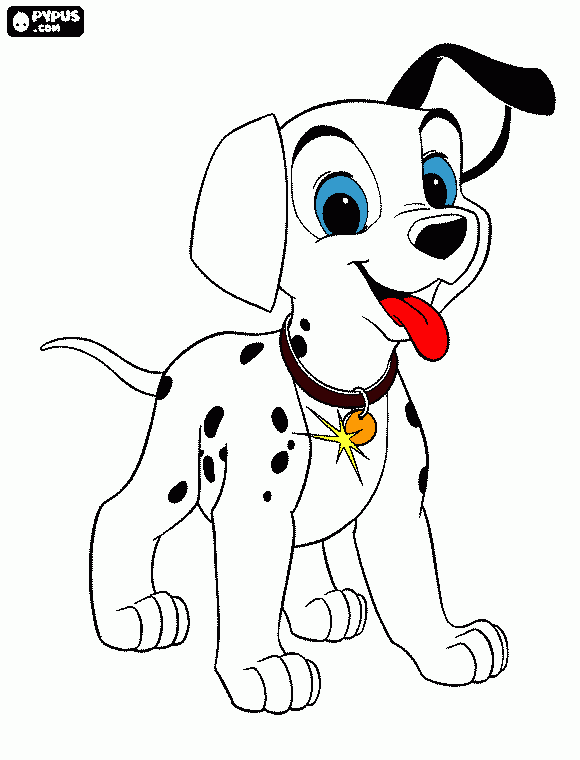 pinta dalmata