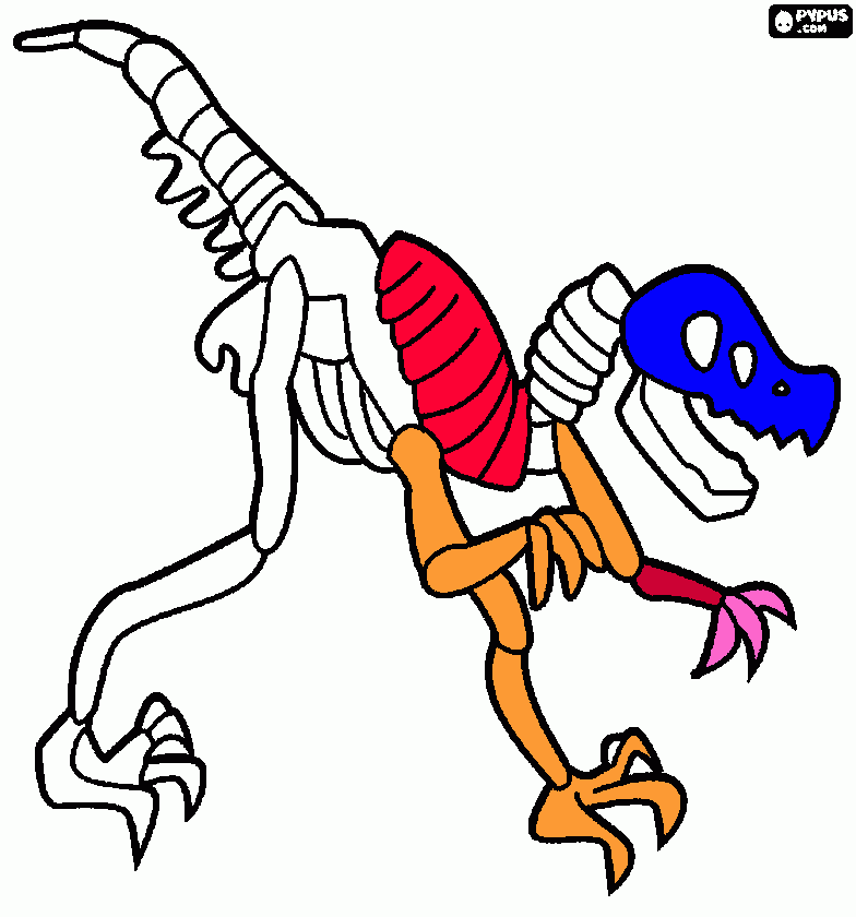 pinta Dinoesquelet