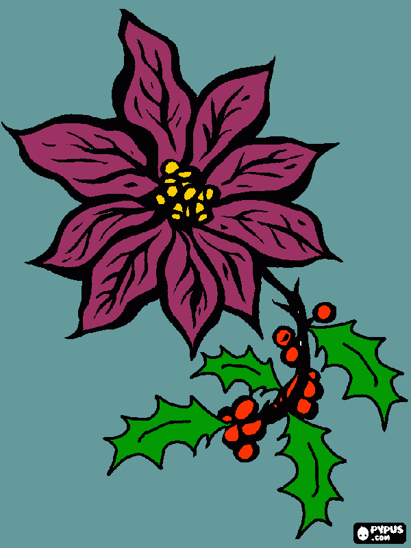 pinta flor nadal