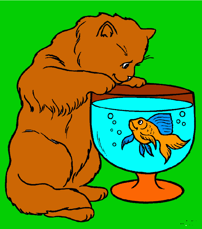 pinta gat am un peix