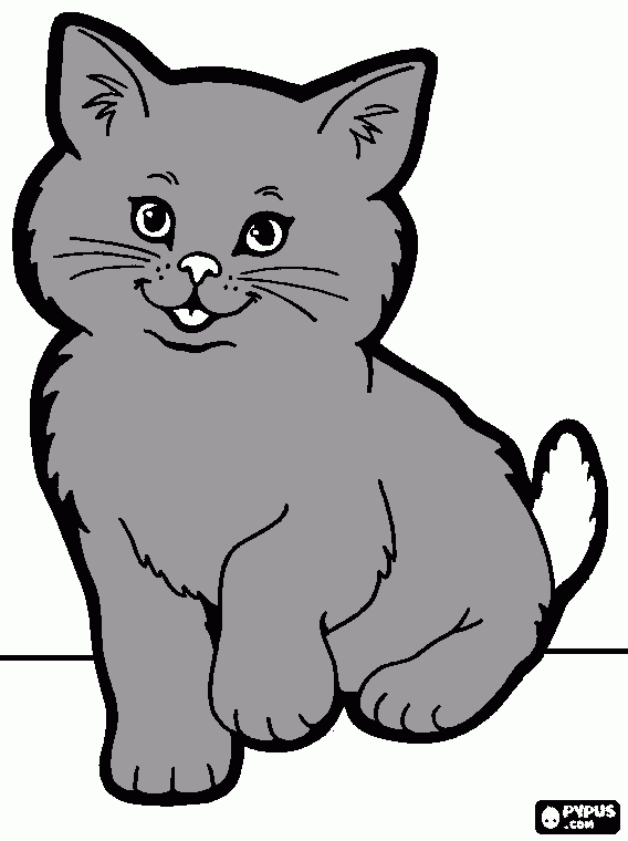 pinta gatet