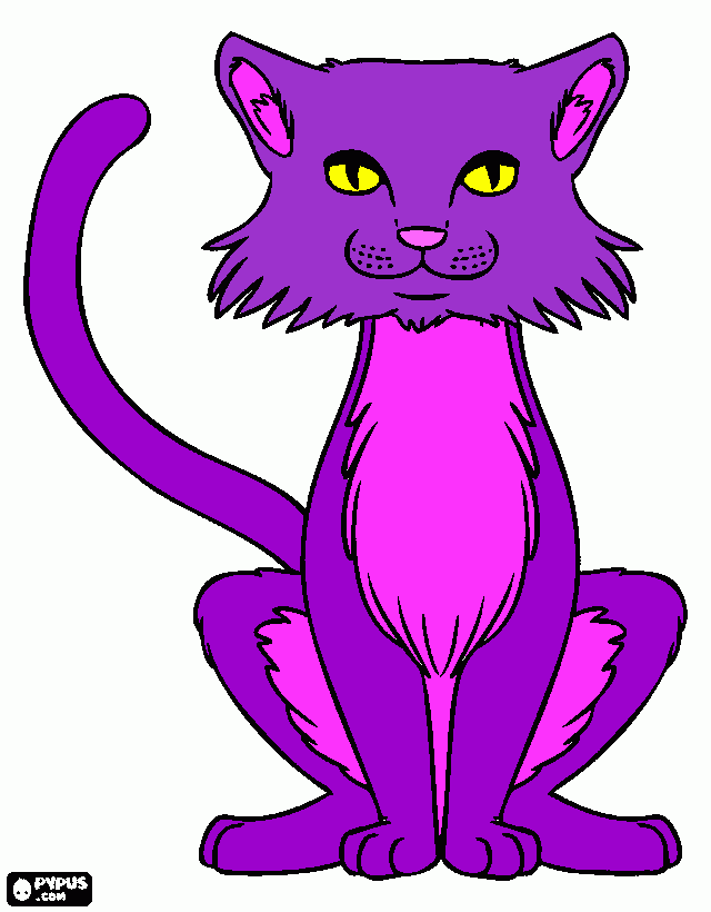 pinta Gatito