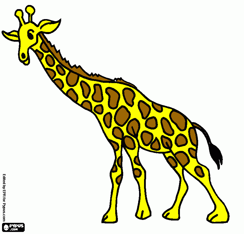 pinta girafa