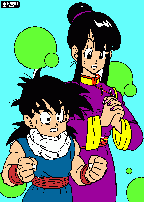 pinta  gohan y chcichi