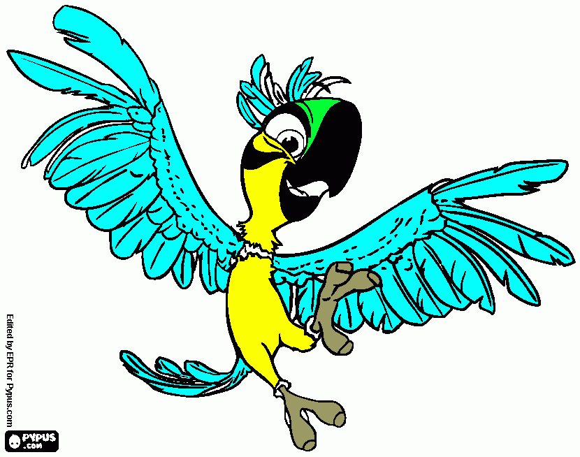 pinta guacamayo