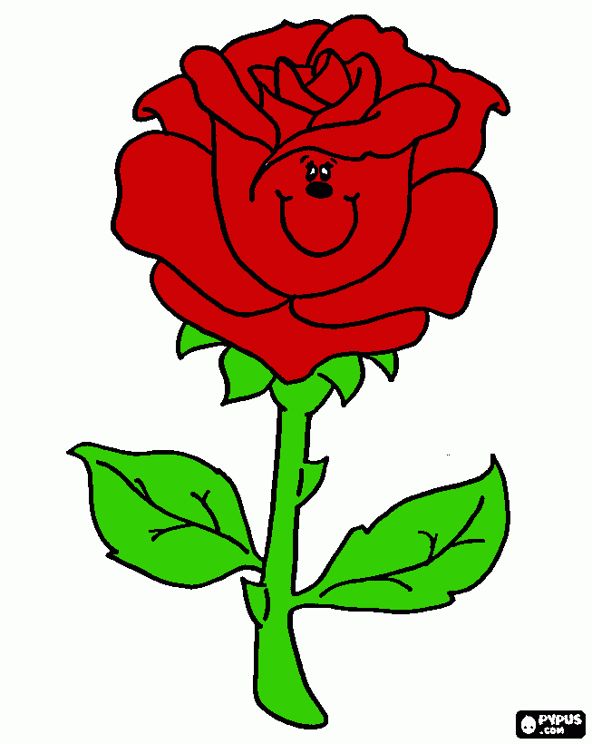 pinta la rosa de sant jordi 