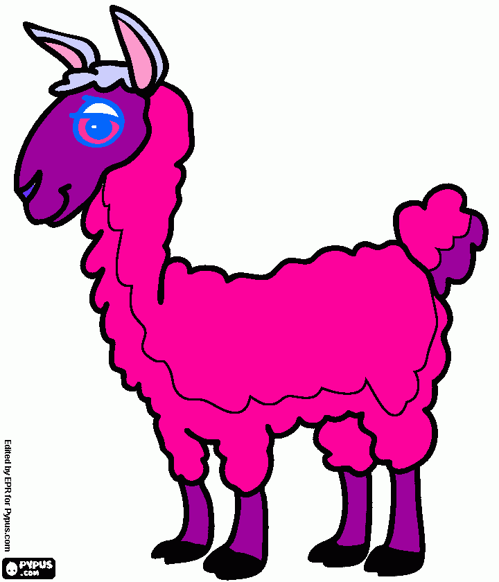 pinta llama