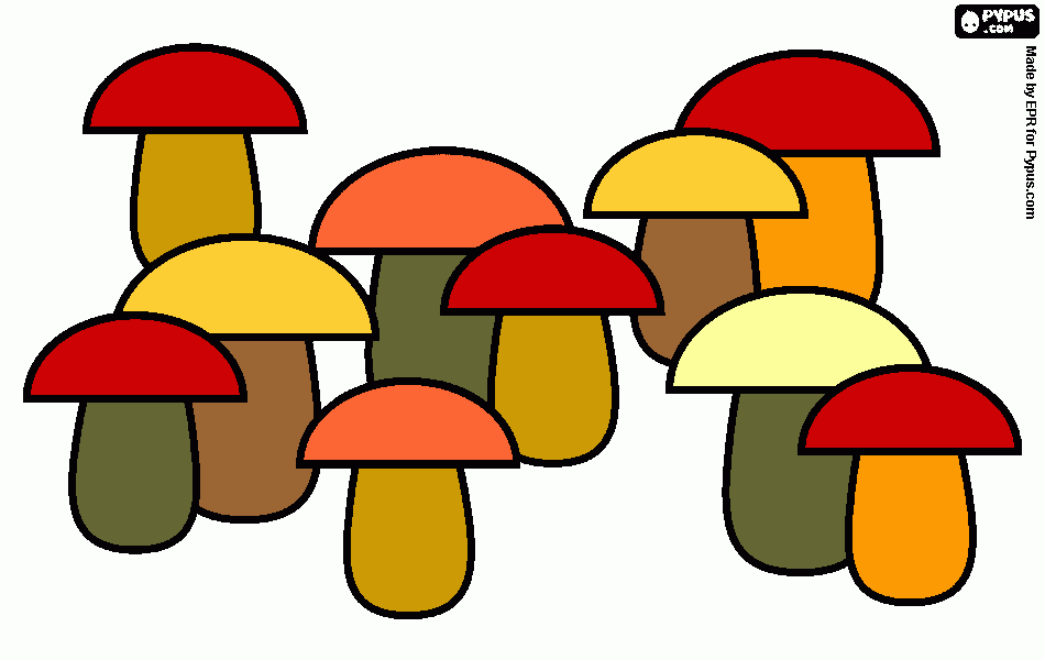 pinta molts bolets pintats