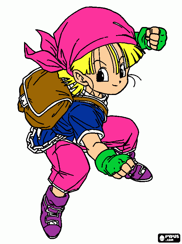 pinta nina
