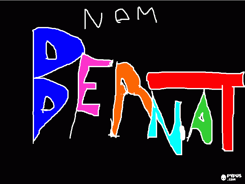 pinta NOM BERNAT