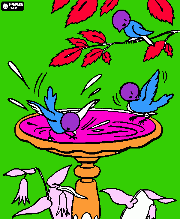 pinta OCELLS I FONT