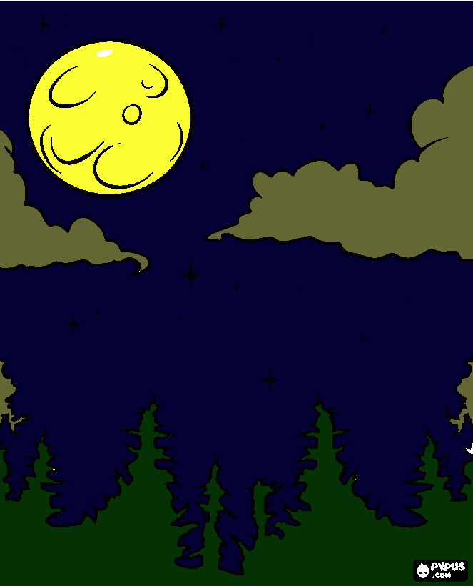 pinta paisatge de nit