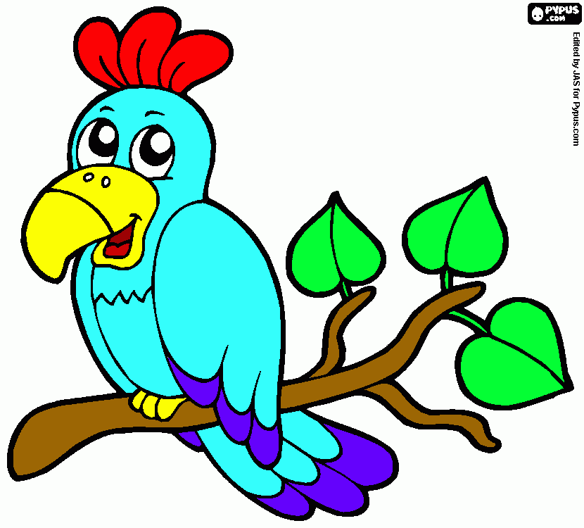 pinta pajarraco