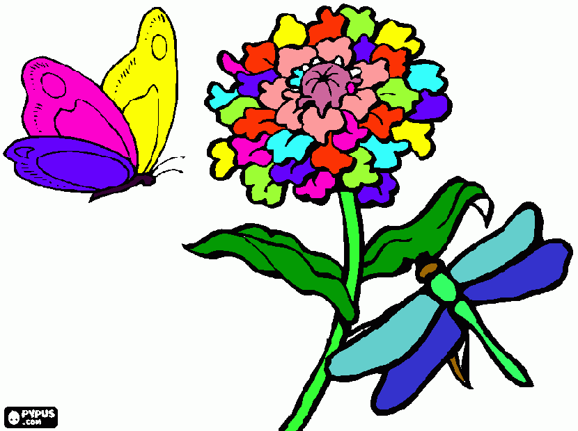 pinta Papallona i flor